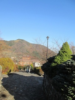 vt9373.jpg