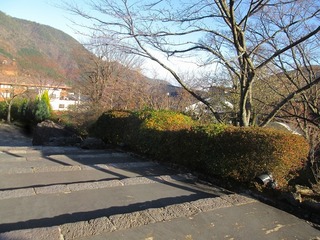 vt9377.jpg