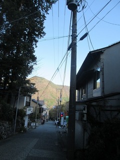 vt9389.jpg