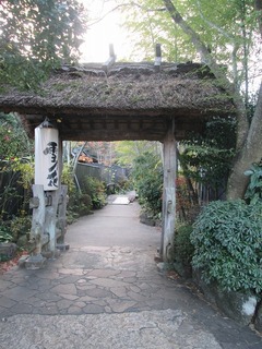 vt9391.jpg
